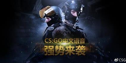 天蝎电竞椅：最经济实惠的选择